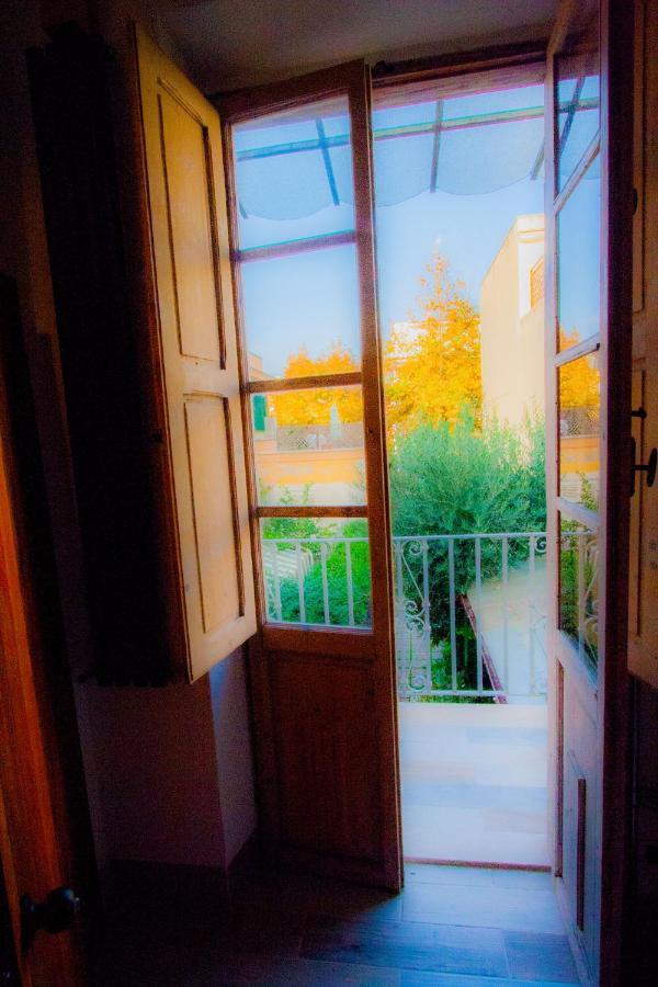 "Sea & Center" Free Beach, Wifi, Mini Pool, Roof Terrace, Ladispoli, Rome Екстер'єр фото
